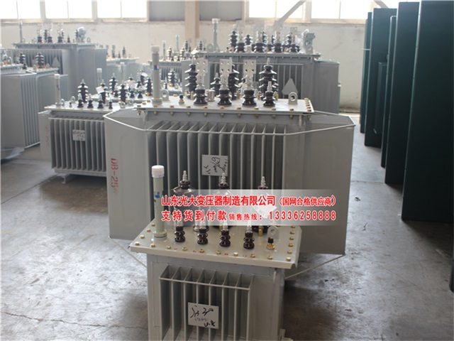 S11-8000KVA资兴资兴资兴资兴油浸式变压器 S11-8000KVA资兴资兴资兴资兴油浸式变压器